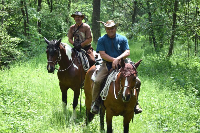 Wanderreiten NPT-Ranch