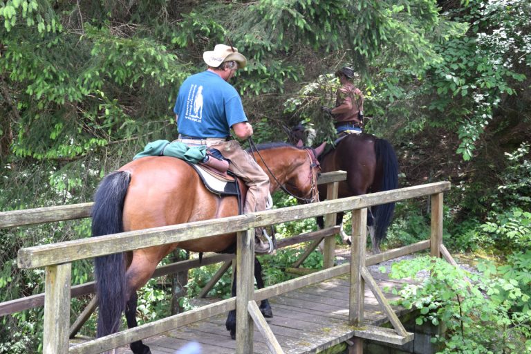 Wanderreiten NPT-Ranch