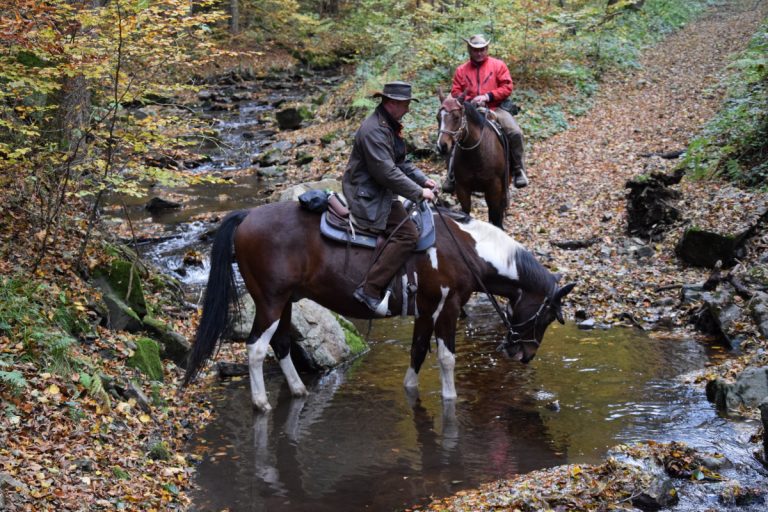 Wanderreiten NPT-Ranch