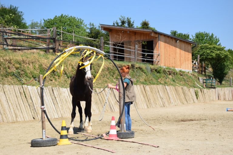 Gelassenheitstraining NPT-Ranch