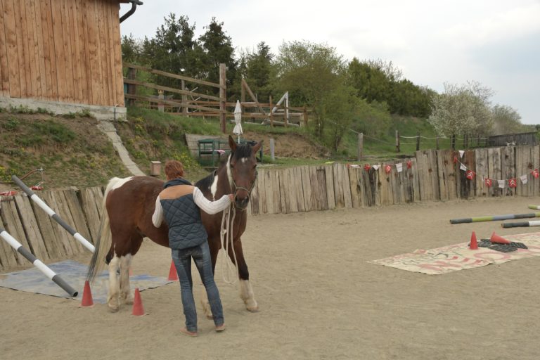 Gelassenheitstraining NPT-Ranch