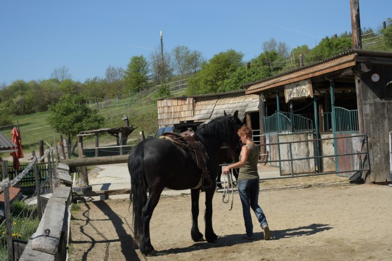 Horsemanship NPT-Ranch