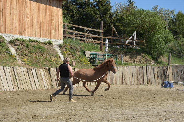 Horsemanship NPT-Ranch