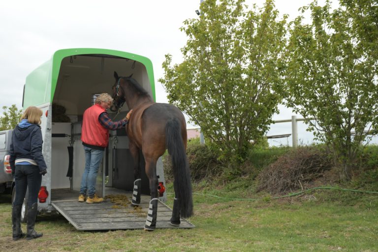 Verladetraining NPT-Ranch