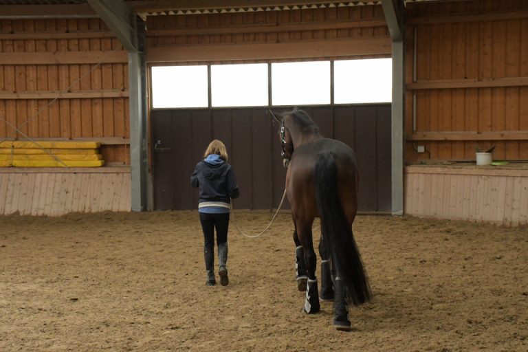 Horsemanship NPT-Ranch