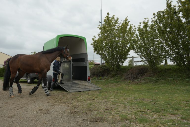 Verladetraining NPT-Ranch