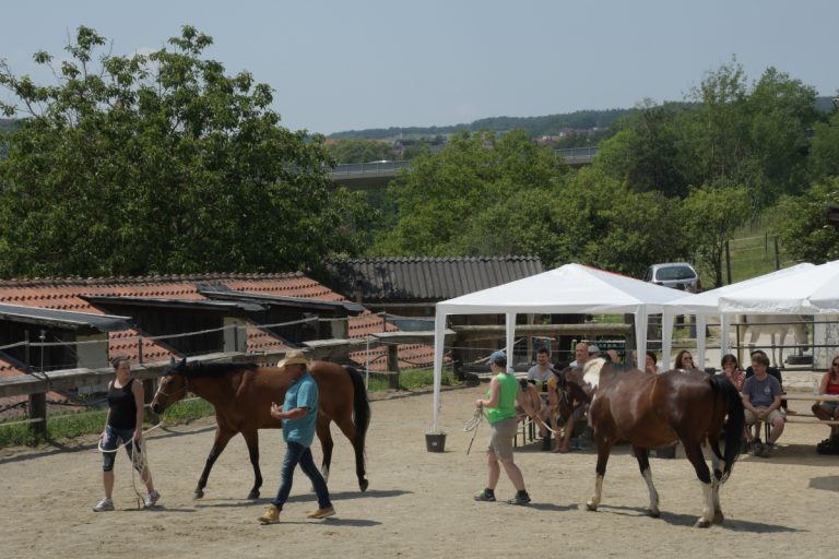 Personentraining NPT-Ranch