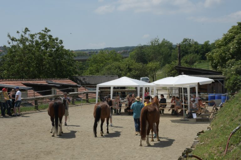 Personentraining NPT-Ranch