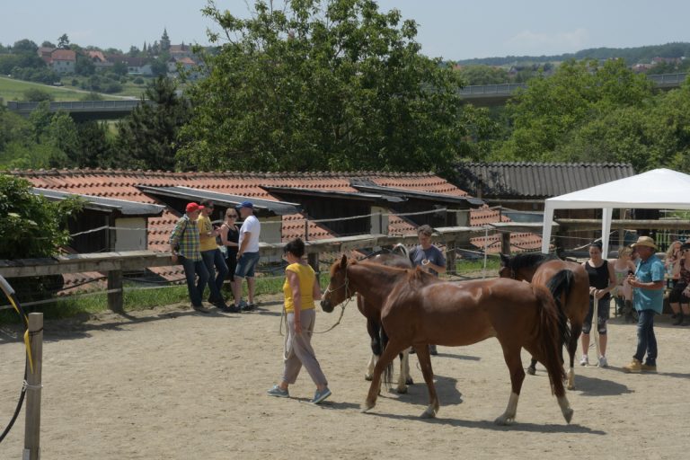 Personentraining NPT-Ranch