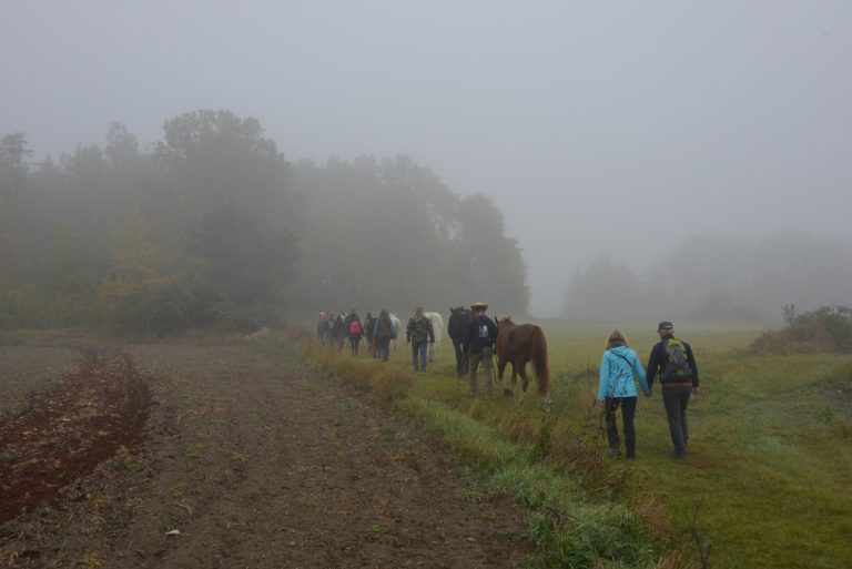 Pferdewandern