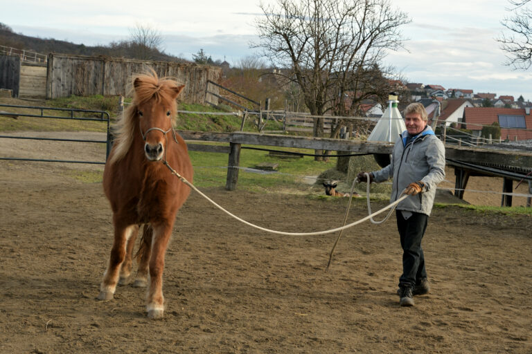 Horsemanship NPT-Ranch